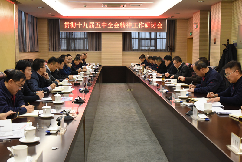 公司召開貫徹十九屆五中全會(huì)精神工作研討會(huì)